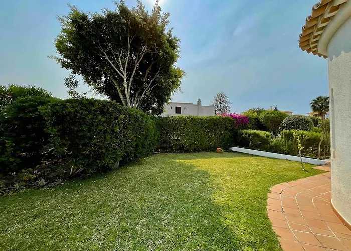 Oceankokia * Αλμπουφέιρα