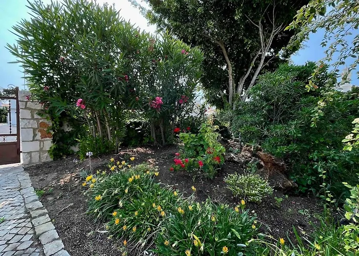 Oceankokia Βίλα Αλμπουφέιρα