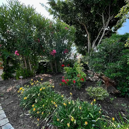 Oceankokia Villa Albufeira